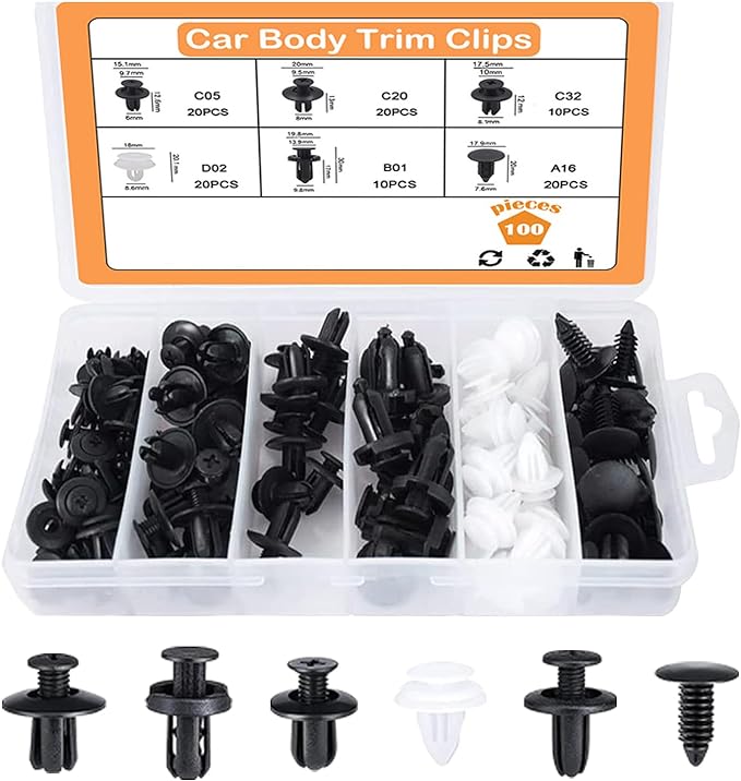 100 Rivetti / Clip di fissaggio per auto (TRASF)